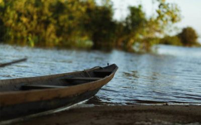 A Big Fish Story From The Amazon