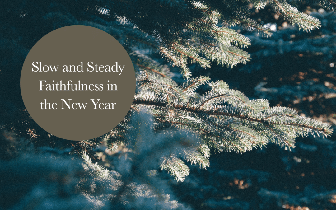 Slow and Steady Faithfulness in the New Year