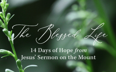 The Blessed Life: 14 Day Devotional Series