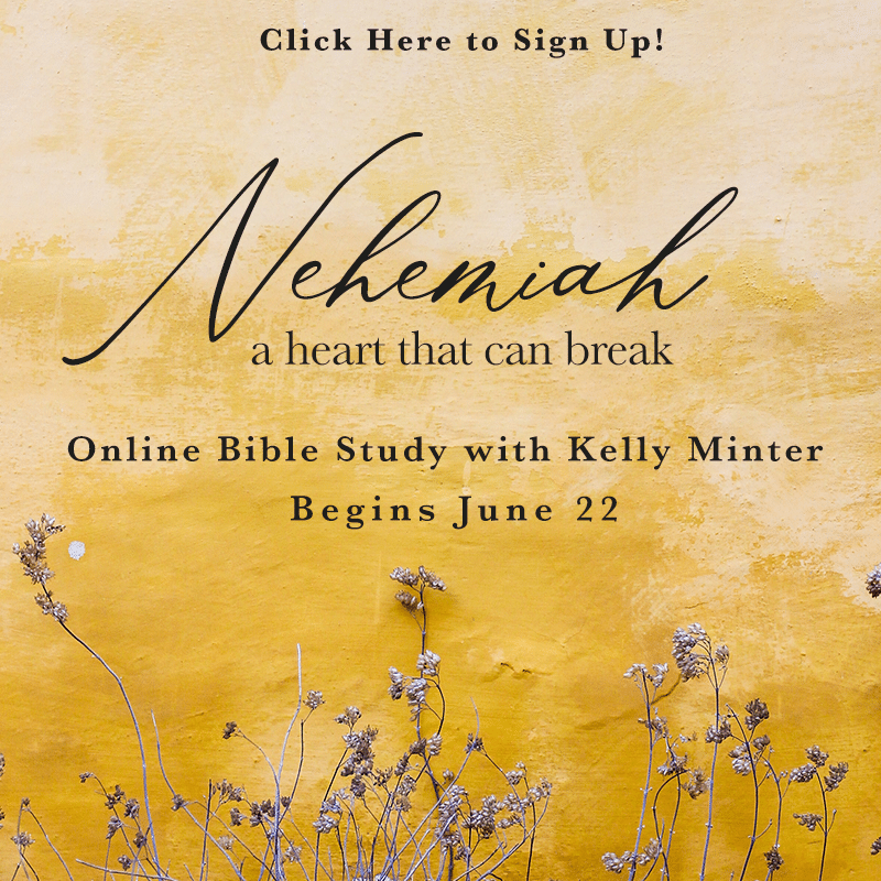 Bible Studies & Books Women's Bible Study Kelly Minter Author