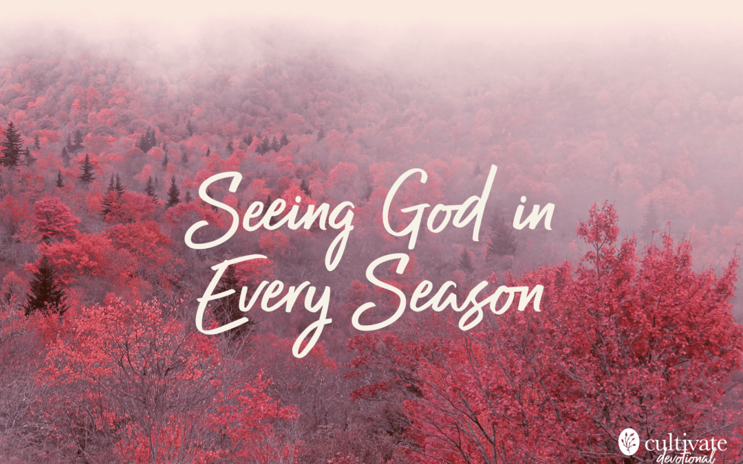 Seeing God in Every Season