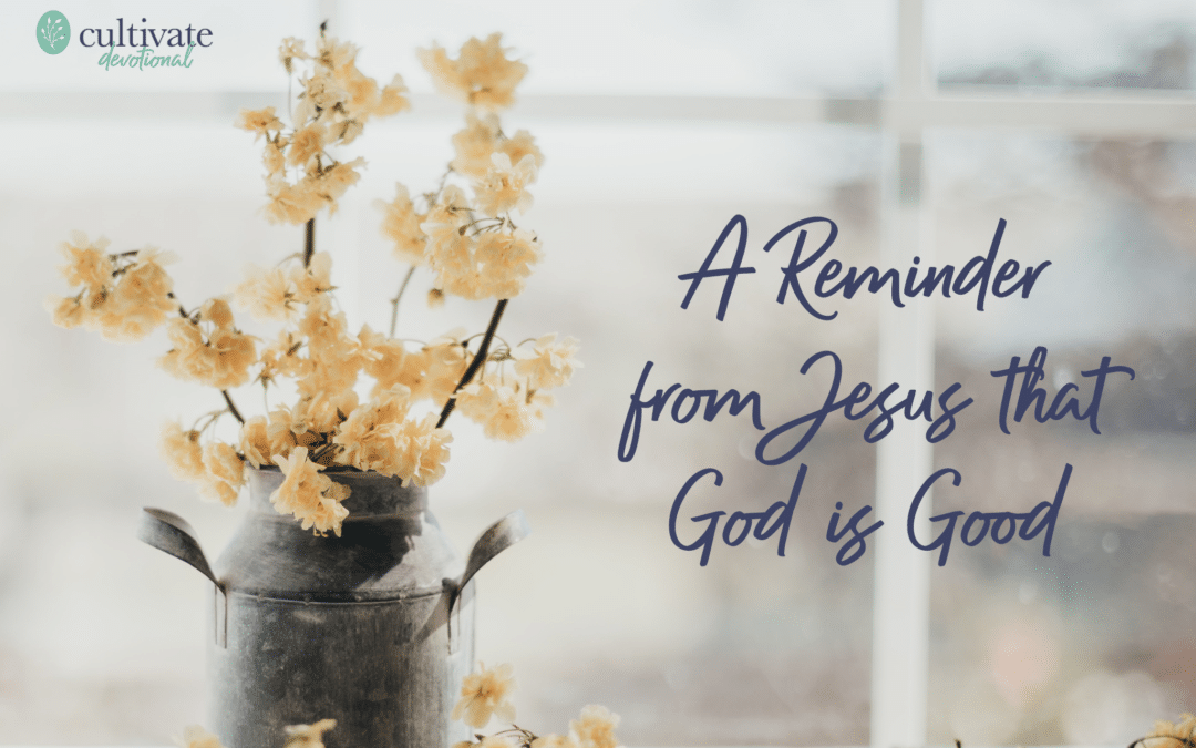 A Reminder From Jesus That God Is Good