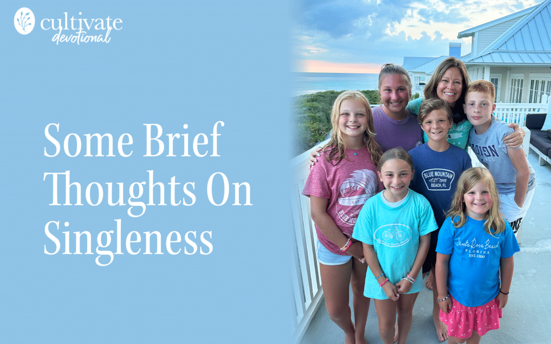 Some Brief Thoughts On Singleness