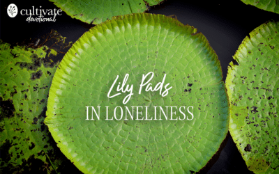 Lily Pads in Loneliness