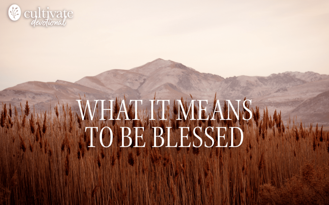 What It Means To Be Blessed (Excerpt from “The Blessed Life”)