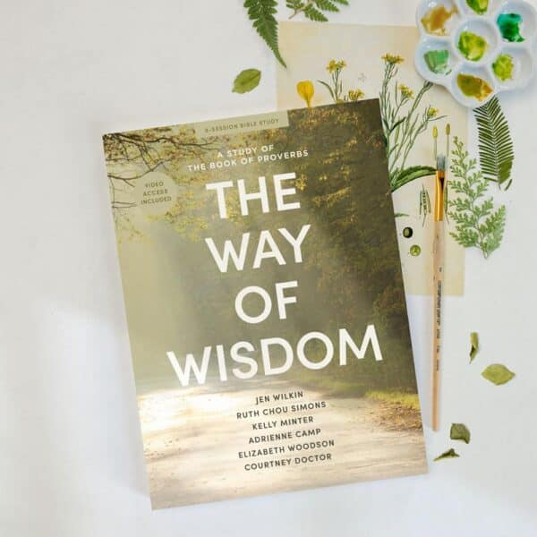 The Way of Wisdom: A Study on the Book of Proverbs (Video Access Included) - Image 2