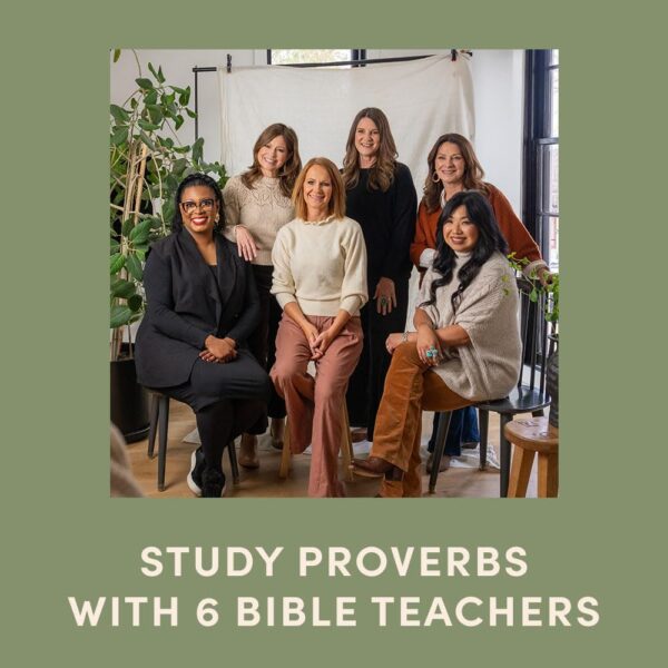 The Way of Wisdom: A Study on the Book of Proverbs (Video Access Included) - Image 4